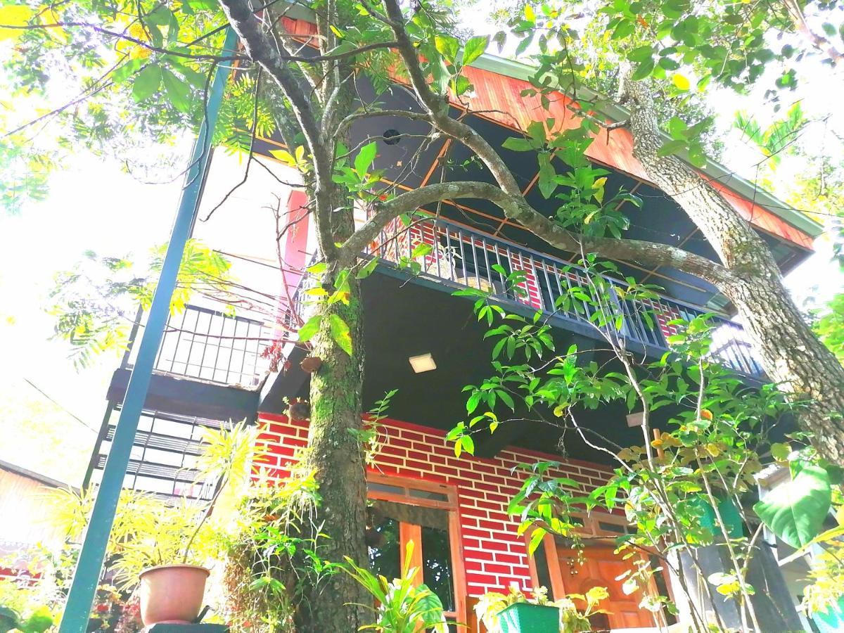 Summer गेस्ट हाउस