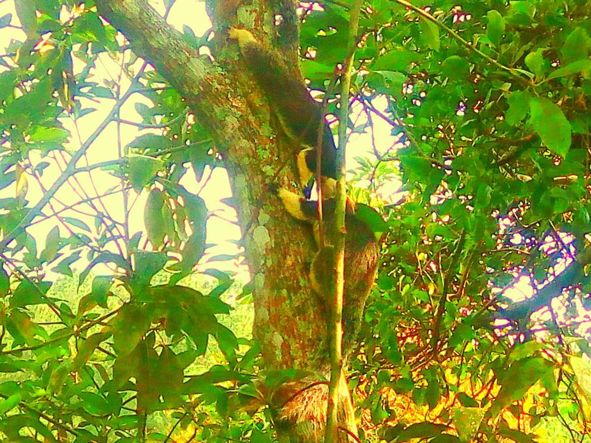 Summer Pensión 3*